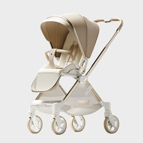 Poussette pliable pour tout-petits avec siège réversible et dossier réglable