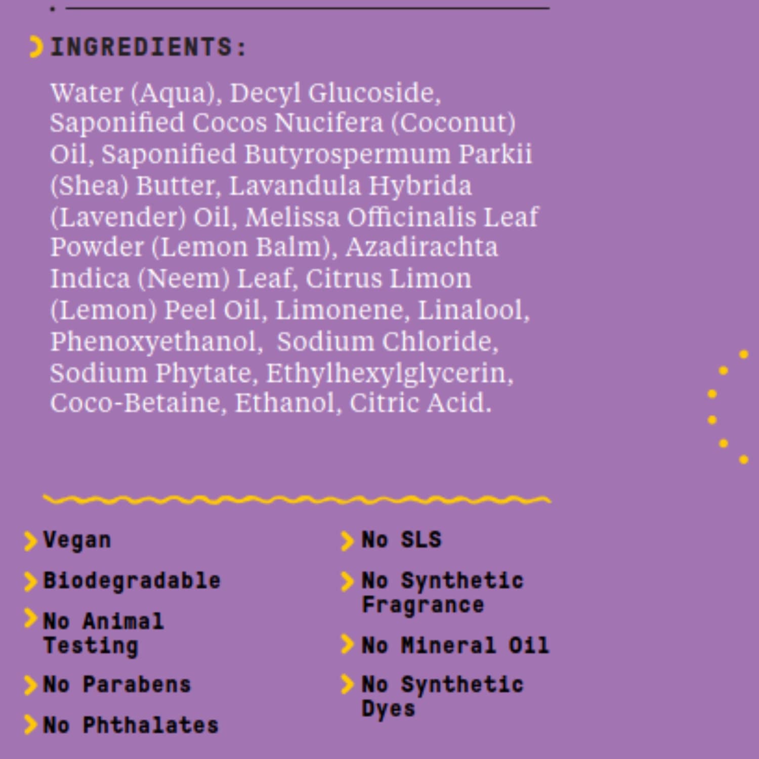 Babies and Kids Shampoo and Body Wash, Gentle and Calming Support for Soft Hair and Skin with Shea Butter, Neem, and Coconut Oil, Fair Trade, Coconut Strawberry, 2 Pack – 16 Fl Oz Ea