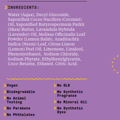 Babies and Kids Shampoo and Body Wash, Gentle and Calming Support for Soft Hair and Skin with Shea Butter, Neem, and Coconut Oil, Fair Trade, Coconut Strawberry, 2 Pack – 16 Fl Oz Ea