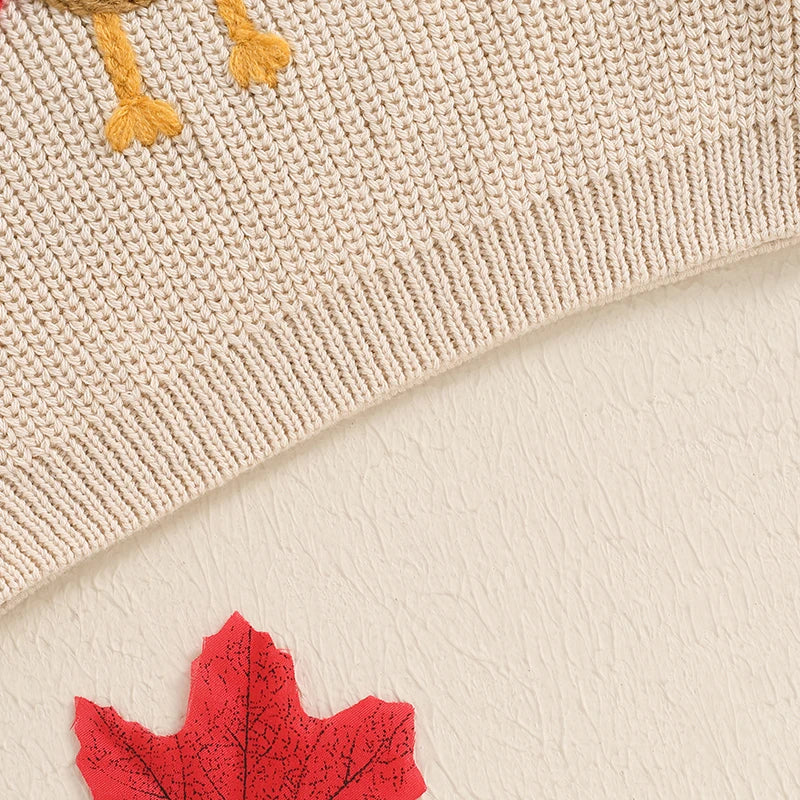 Pull brodé avec dinde