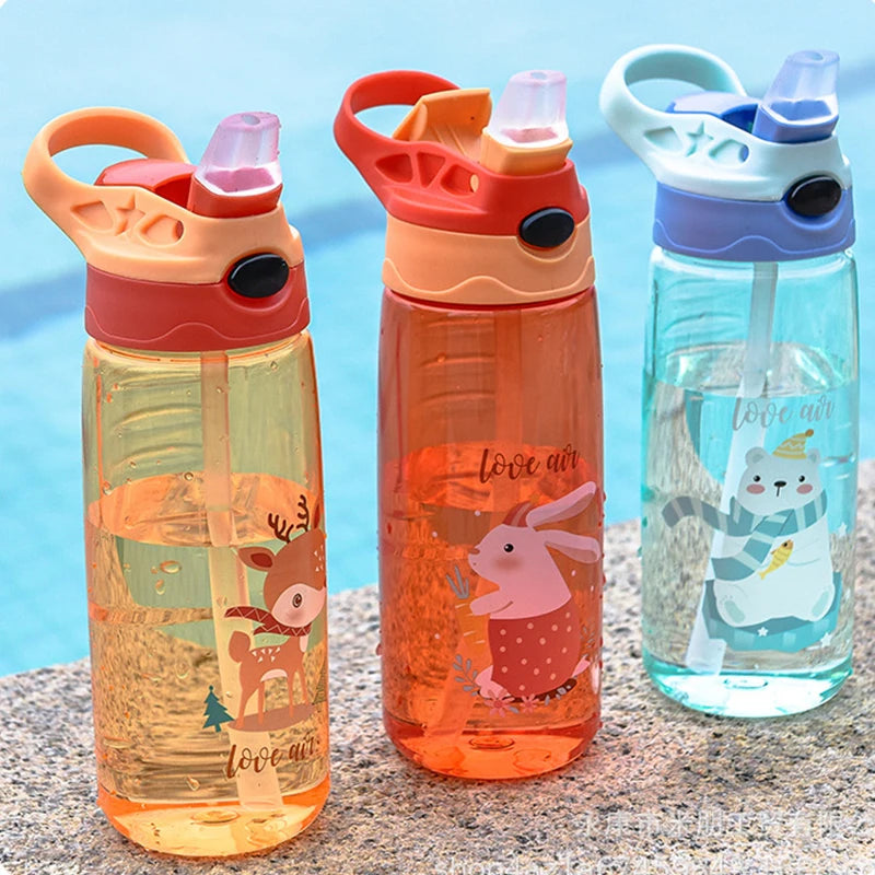 500ml Water Bottle
