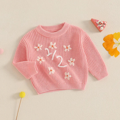 Embroidery Sweaters Long Sleeve
