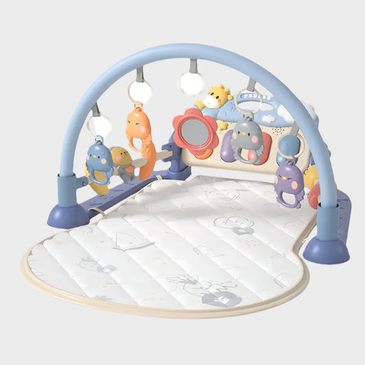 Activity Gym Play Mat