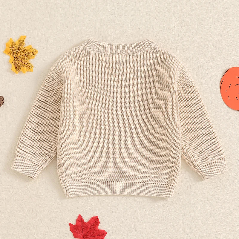 Pull brodé avec dinde