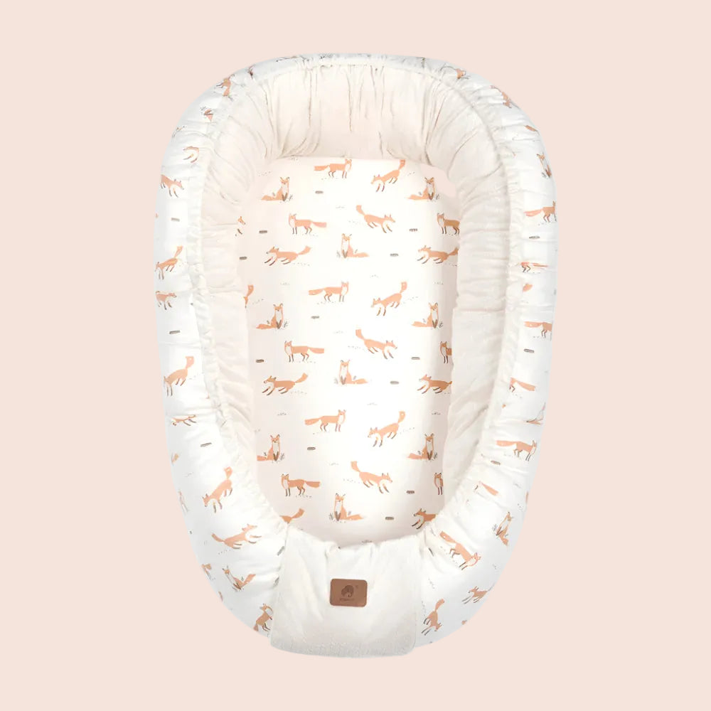 Baby Nest & Sofer Bed