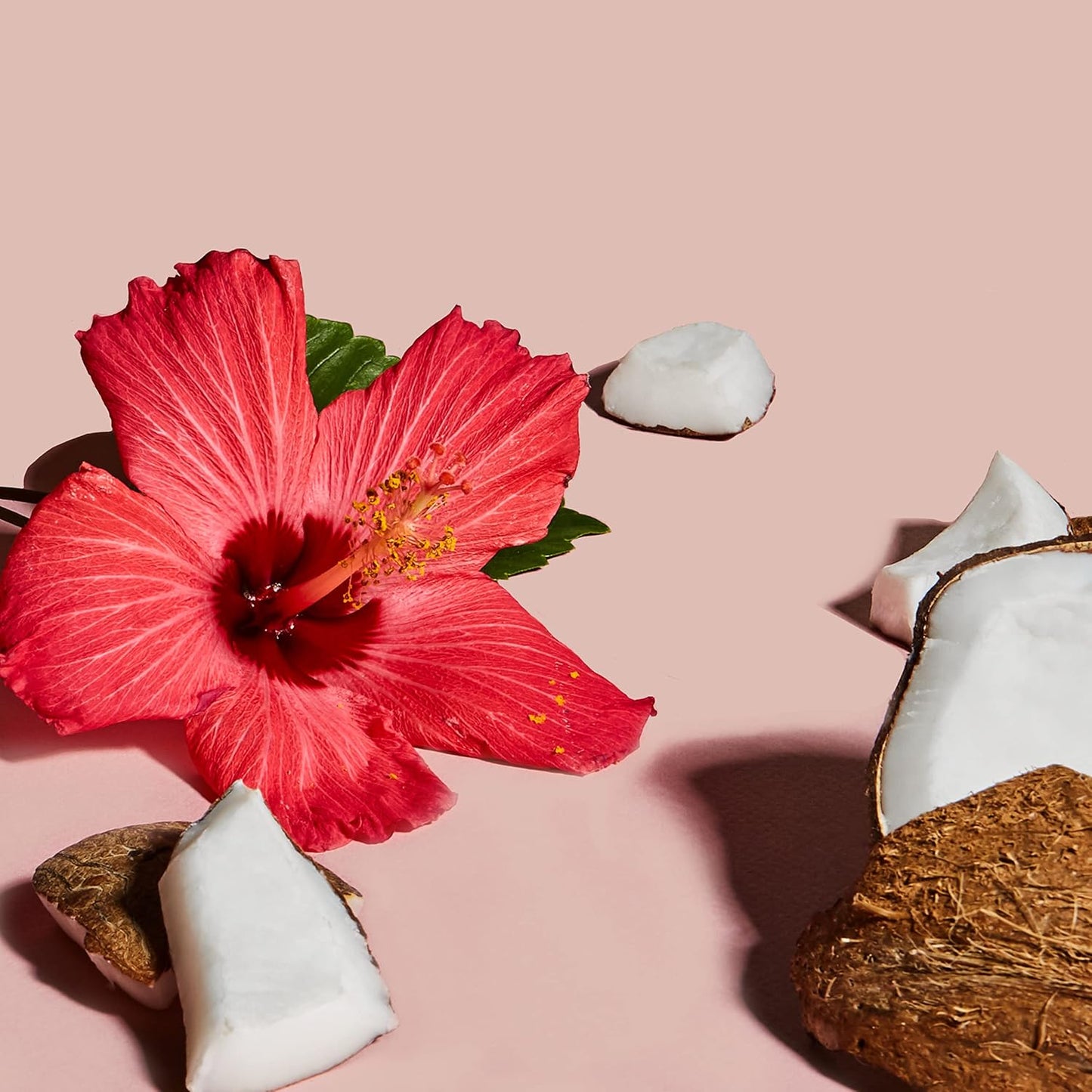 Kids Extra Moisturizing Detangler for Curly Hair Coconut and Hibiscus Kids Detangler with Shea Butter 8 Oz